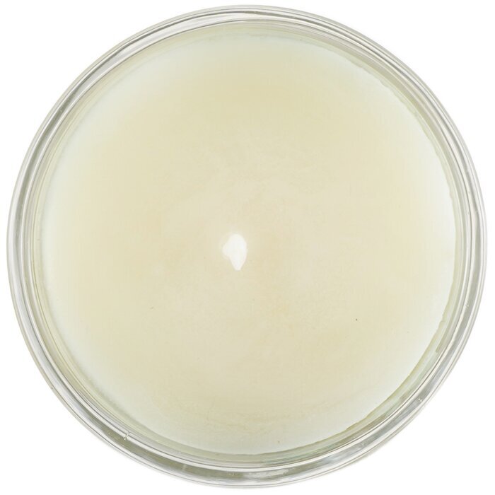 Carroll & Chan 100% Beeswax Votive Candle - Tropical Forest 65g