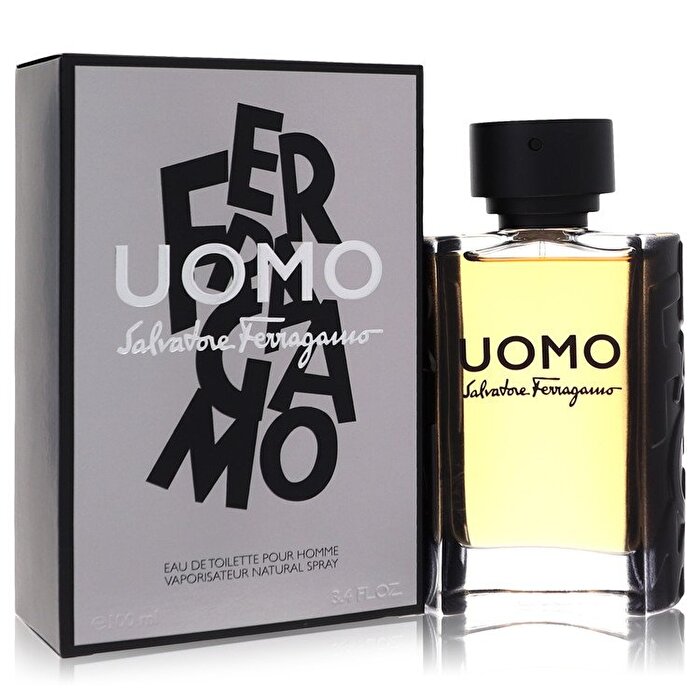 Salvatore Ferragamo Salvatore Ferragamo Uomo Eau De Toilette Spray 100ml/3.4oz
