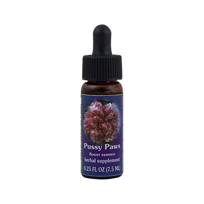 Fes Organic Range Of Light Flower Essence Pussy Paws 7.5ml